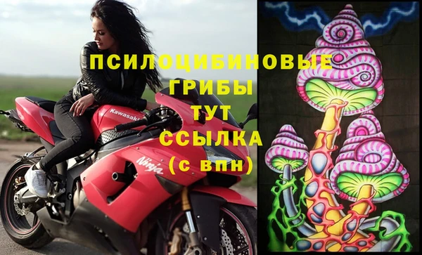 прущий лед Алагир