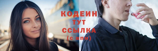 мет Бородино