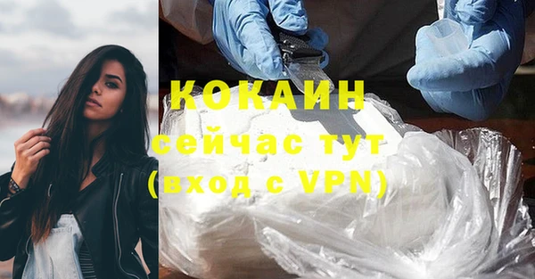 мет Бородино