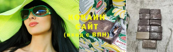 дживик Алапаевск